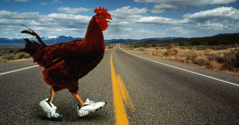 Descubre el Misterio de Chicken Road en las Salas de Juego de España Descubre el Misterio de Chicken Road en las Salas de Juego de España